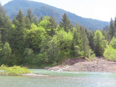 295 River Ranch Road Randle WA 98377