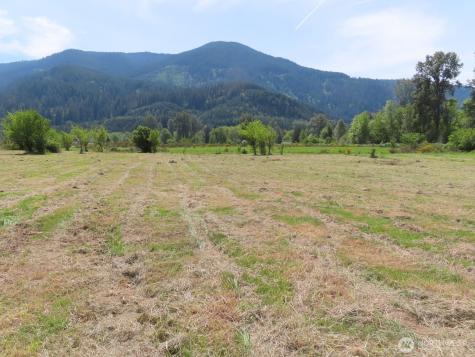 295 River Ranch Road Randle WA 98377