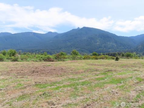 295 River Ranch Road Randle WA 98377