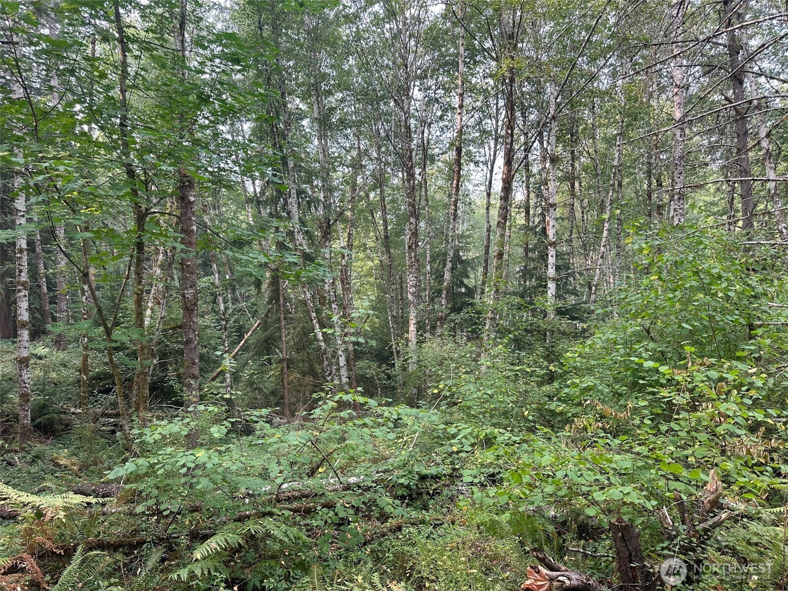 0 E Agate Road Shelton WA 98584