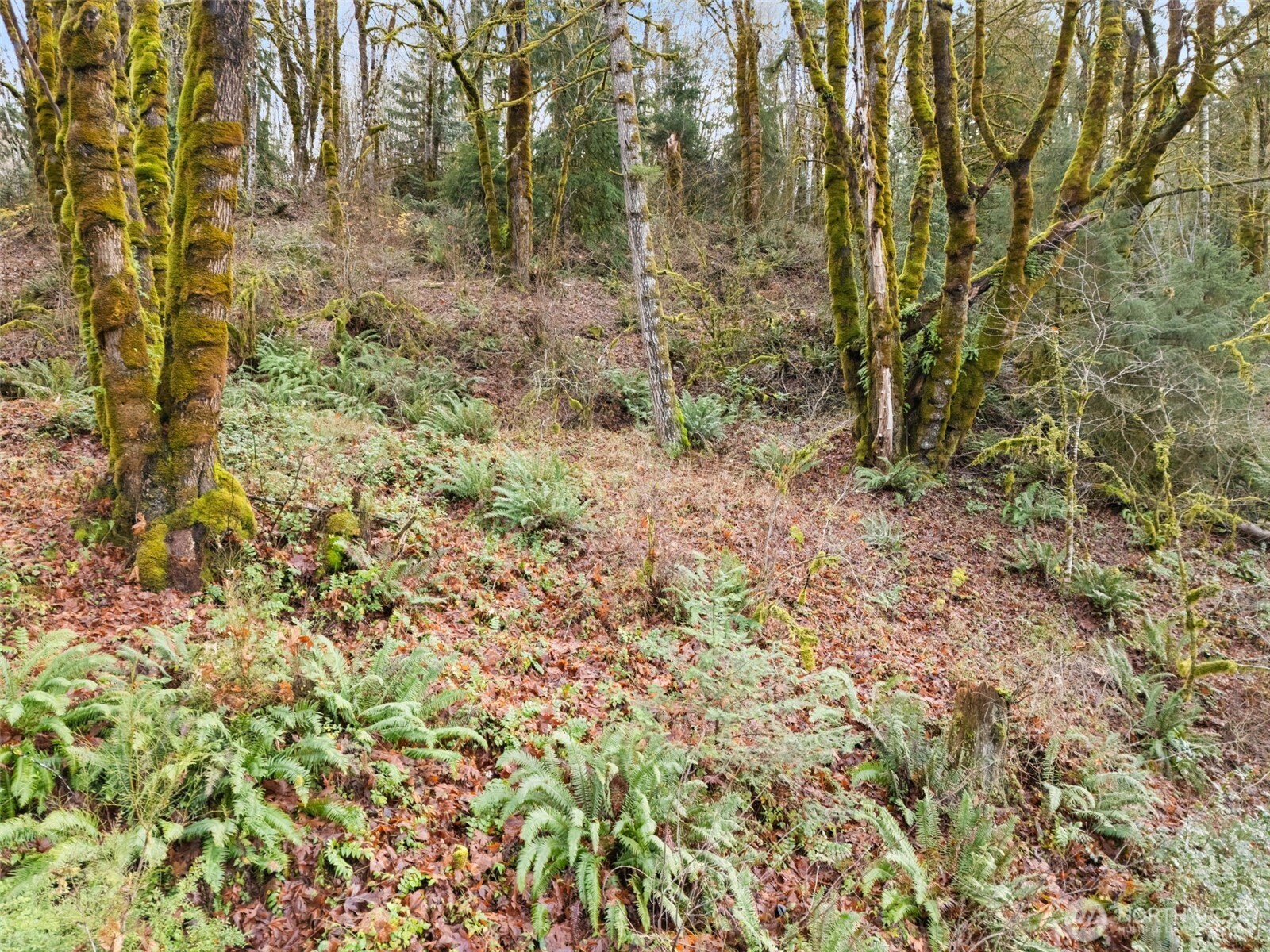 0 E Agate Road Shelton WA 98584
