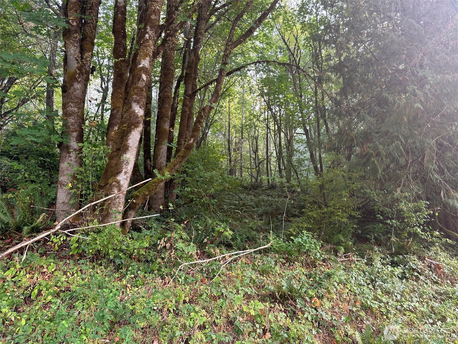 0 E Agate Road Shelton WA 98584