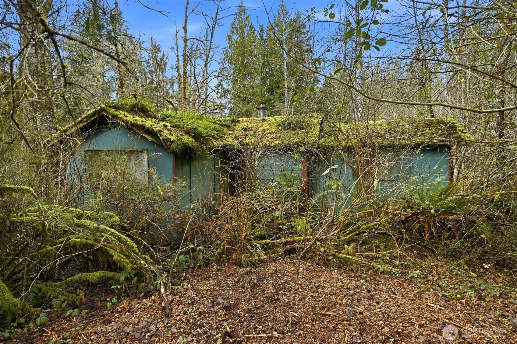 19115 238th Avenue NE Woodinville WA 98077