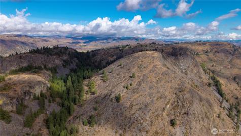 0 Tbd Pharr Out - 17 Way Omak WA 98841