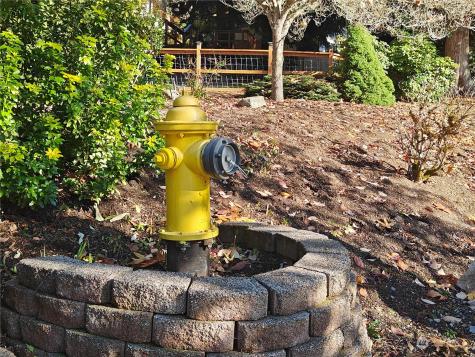 1518 207th Avenue NE Sammamish WA 98074
