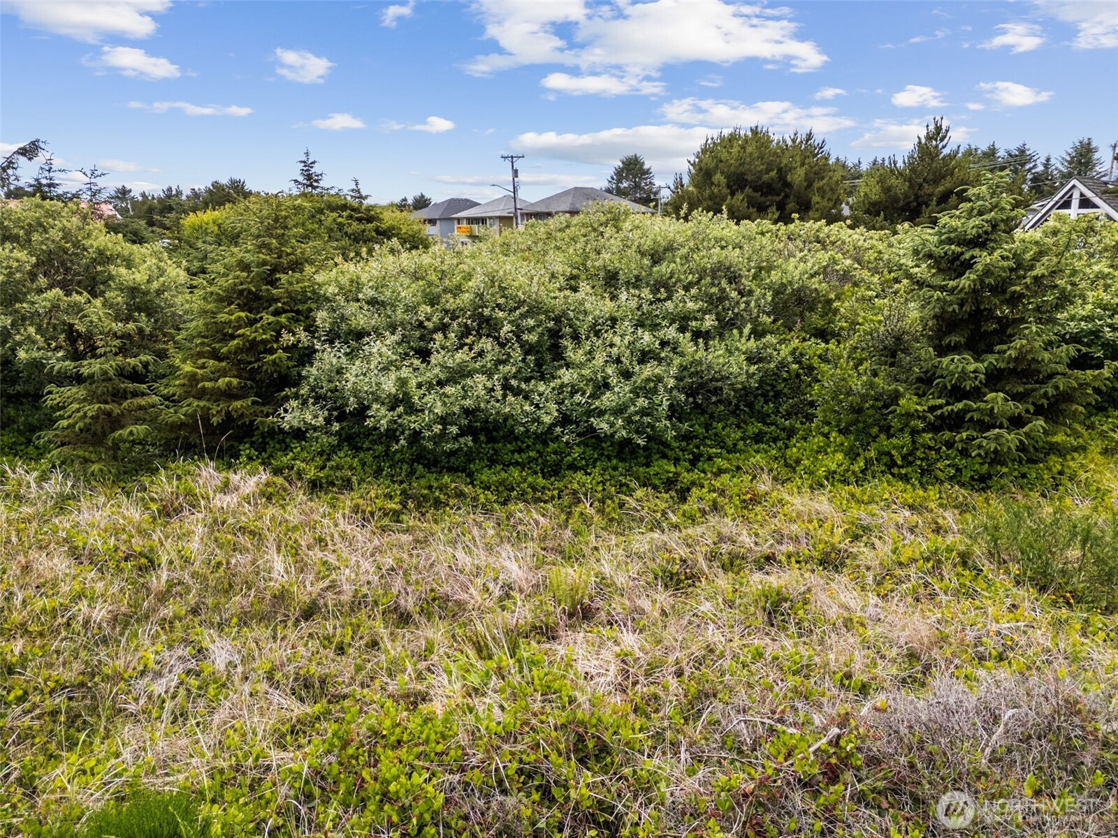 844 Point Brown Avenue NE Ocean Shores WA 98569