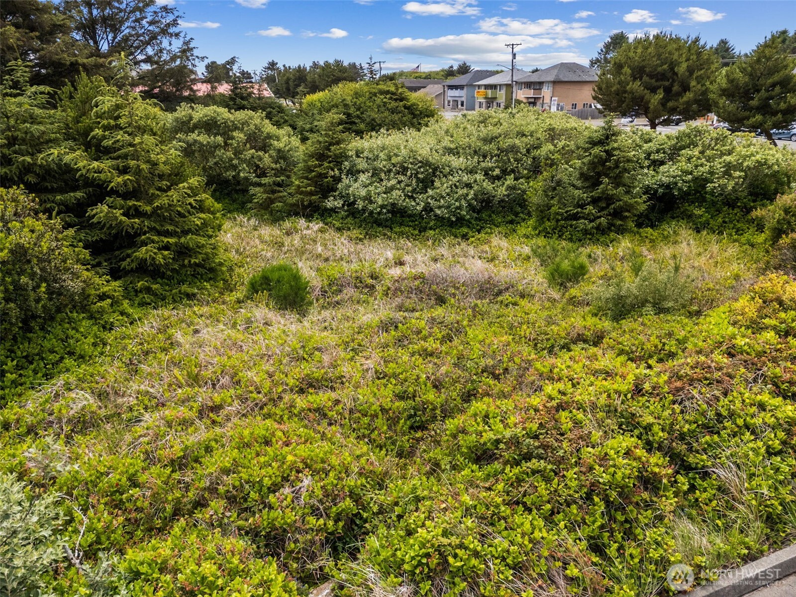 844 Point Brown Avenue NE Ocean Shores WA 98569