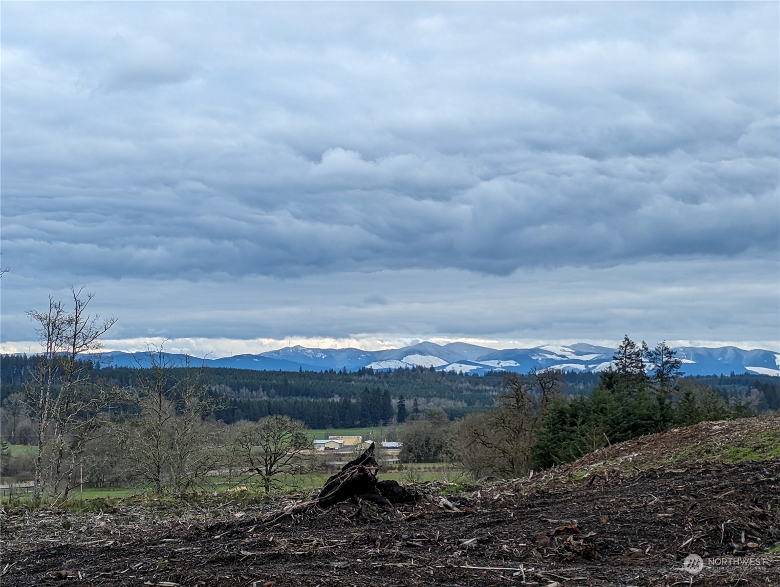151 Coulson Road Chehalis WA 98532