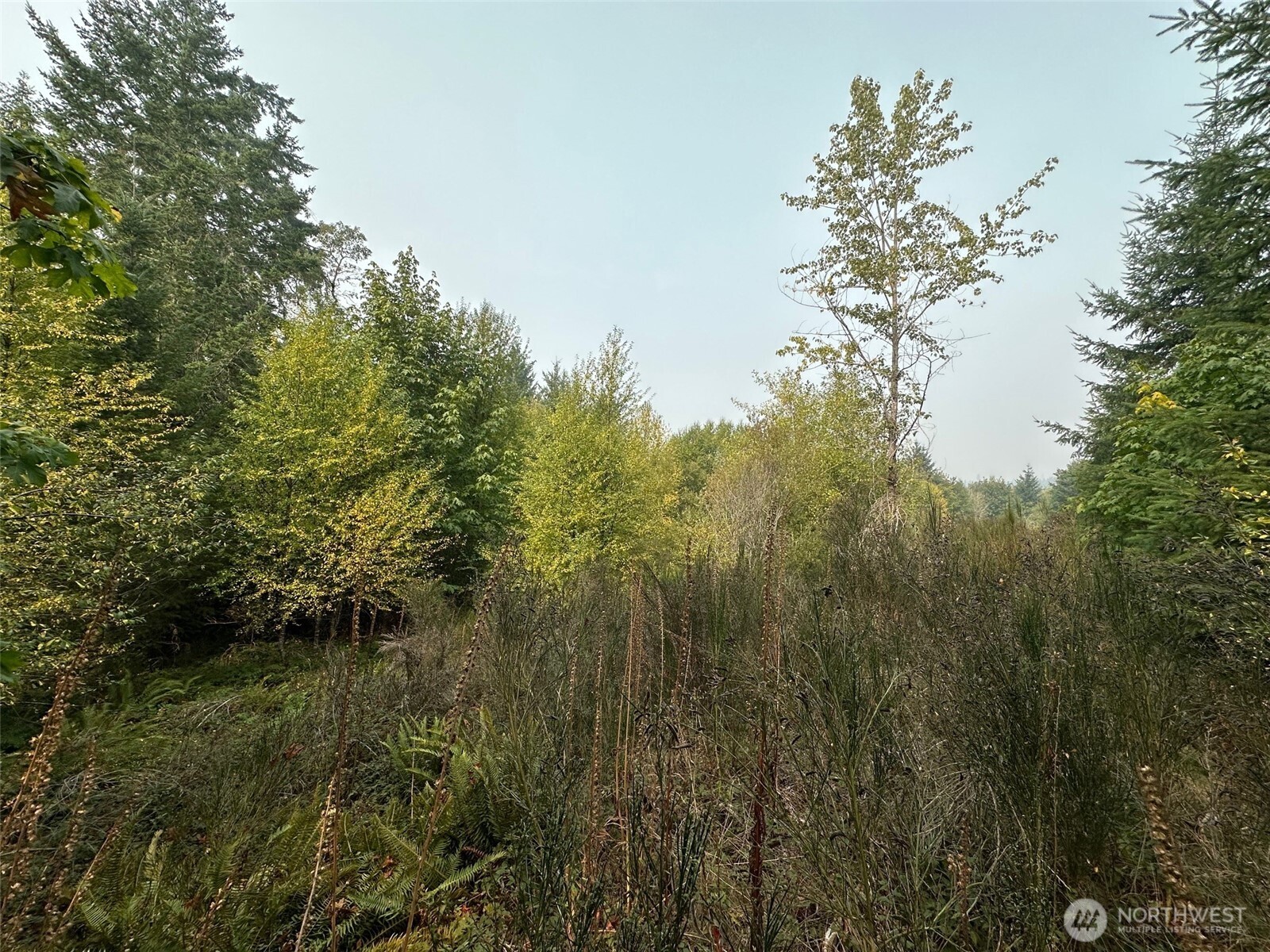 0 E Agate Road Shelton WA 98584