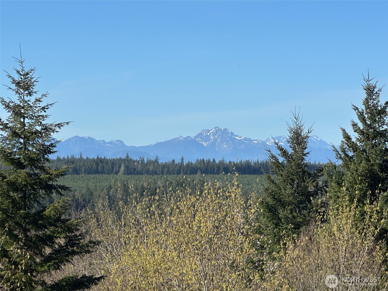 0 E Agate Road Shelton WA 98584