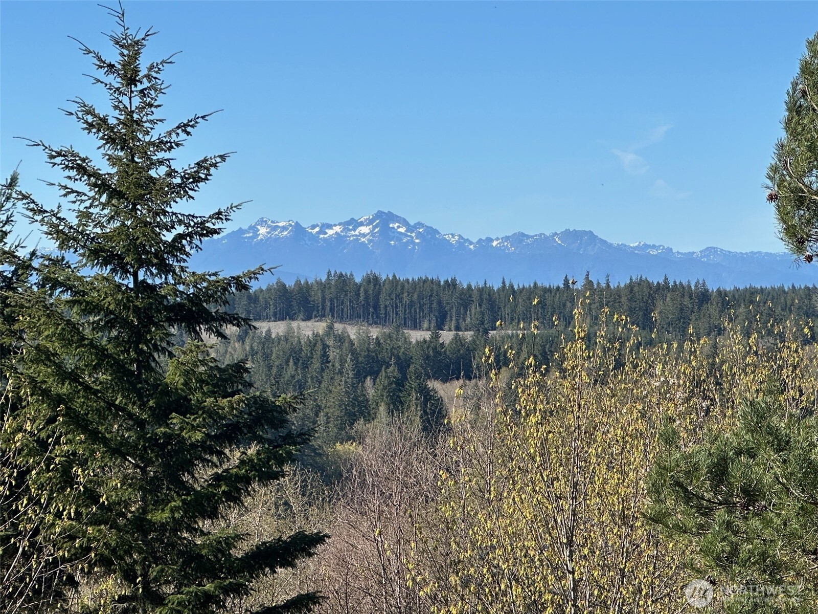 0 E Agate Road Shelton WA 98584