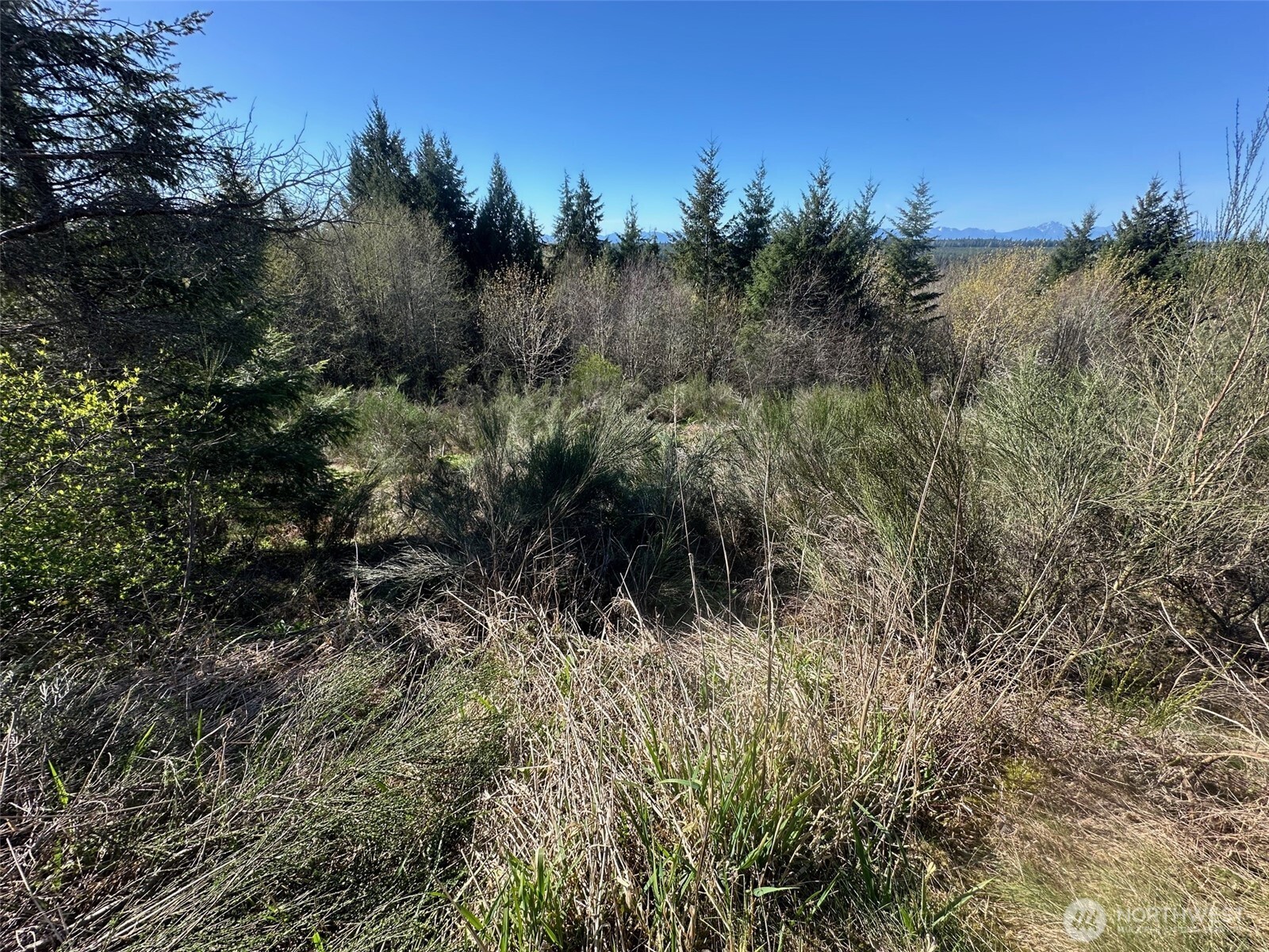 0 E Agate Road Shelton WA 98584