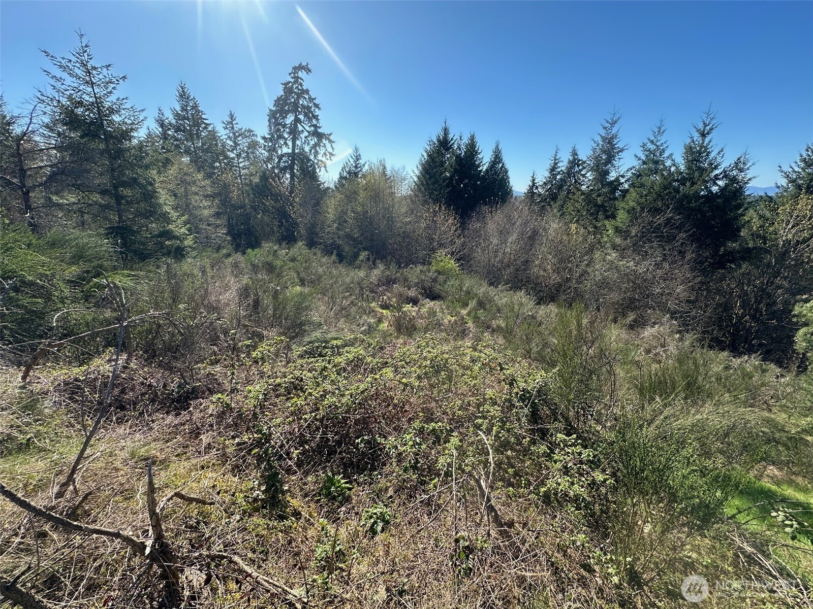 0 E Agate Road Shelton WA 98584