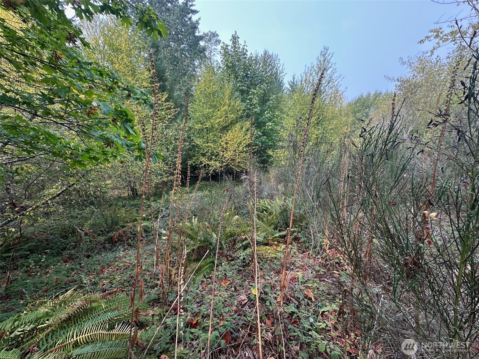 0 E Agate Road Shelton WA 98584