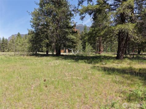 4 Mazama Meadows Lane Mazama WA 98833