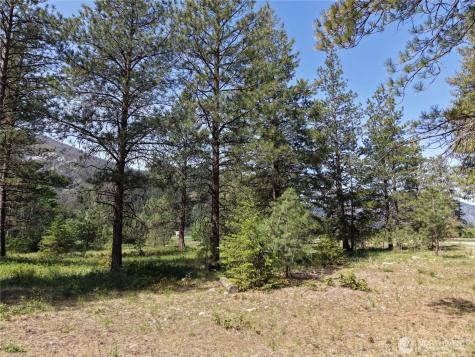 4 Mazama Meadows Lane Mazama WA 98833