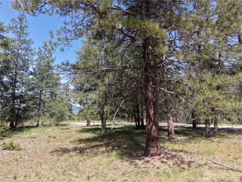 4 Mazama Meadows Lane Mazama WA 98833