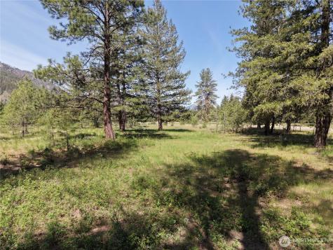 4 Mazama Meadows Lane Mazama WA 98833