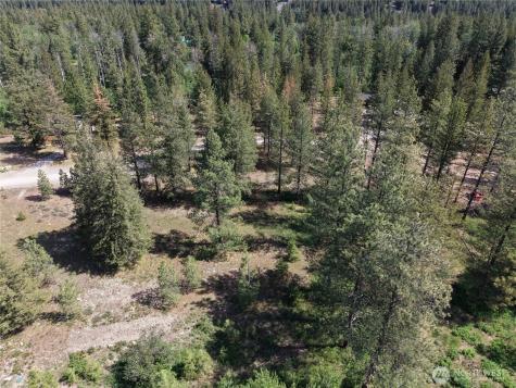 4 Mazama Meadows Lane Mazama WA 98833