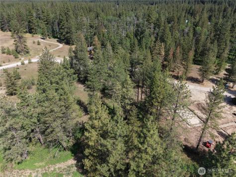 4 Mazama Meadows Lane Mazama WA 98833