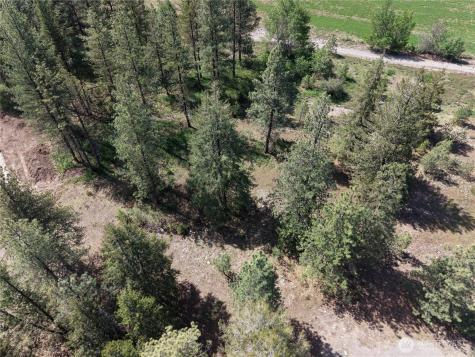 4 Mazama Meadows Lane Mazama WA 98833