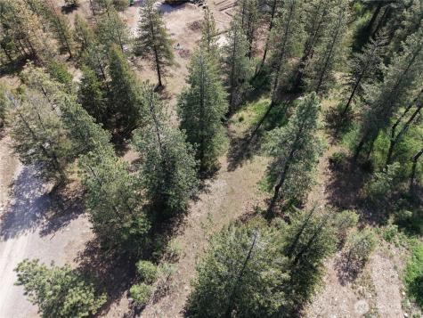 4 Mazama Meadows Lane Mazama WA 98833