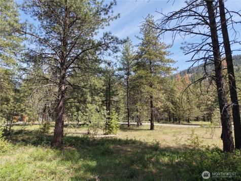 4 Mazama Meadows Lane Mazama WA 98833