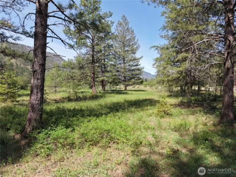 4 Mazama Meadows Lane Mazama WA 98833