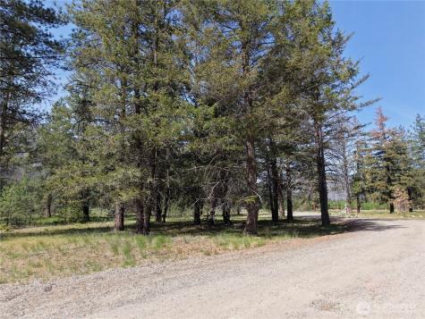 4 Mazama Meadows Lane Mazama WA 98833