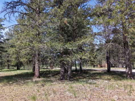 4 Mazama Meadows Lane Mazama WA 98833