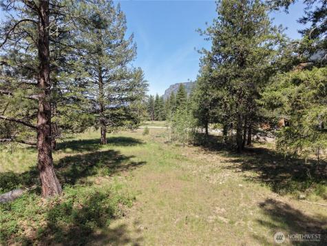 4 Mazama Meadows Lane Mazama WA 98833