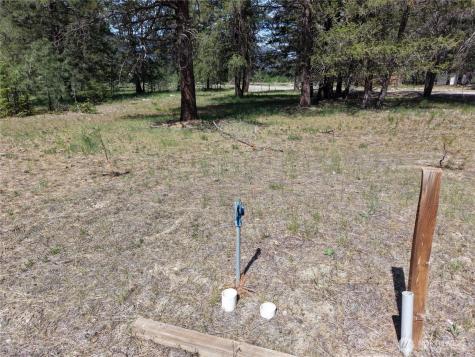 4 Mazama Meadows Lane Mazama WA 98833