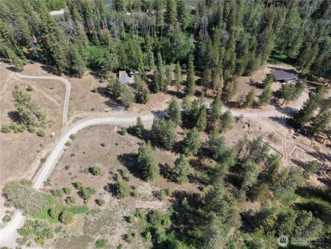4 Mazama Meadows Lane Mazama WA 98833