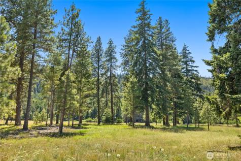 18 Domerie Park Loop Cle Elum WA 98922