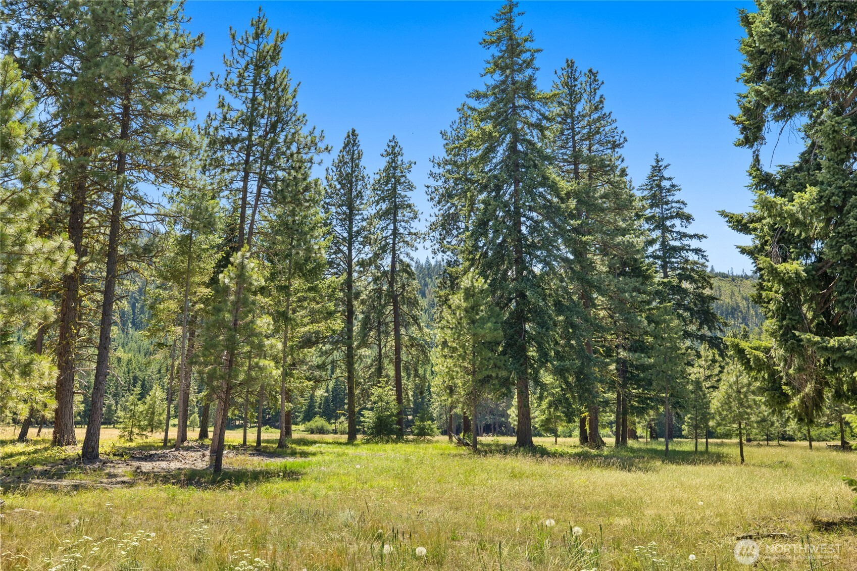 18 Domerie Park Loop Cle Elum WA 98922