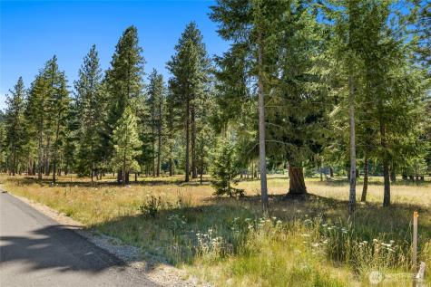 18 Domerie Park Loop Cle Elum WA 98922