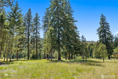 18 Domerie Park Loop Cle Elum WA 98922
