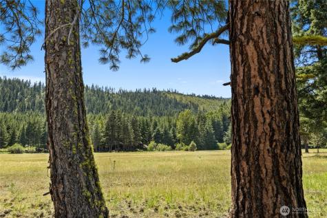 18 Domerie Park Loop Cle Elum WA 98922