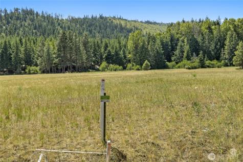 18 Domerie Park Loop Cle Elum WA 98922