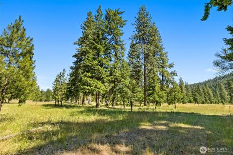 18 Domerie Park Loop Cle Elum WA 98922