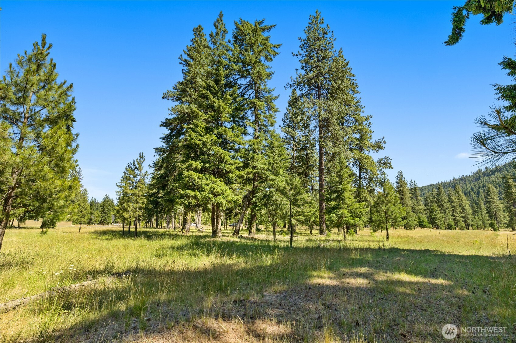 18 Domerie Park Loop Cle Elum WA 98922