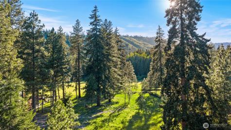 18 Domerie Park Loop Cle Elum WA 98922