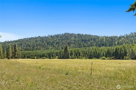 18 Domerie Park Loop Cle Elum WA 98922