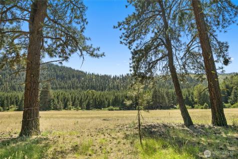 18 Domerie Park Loop Cle Elum WA 98922