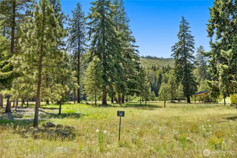 18 Domerie Park Loop Cle Elum WA 98922