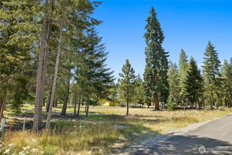 18 Domerie Park Loop Cle Elum WA 98922