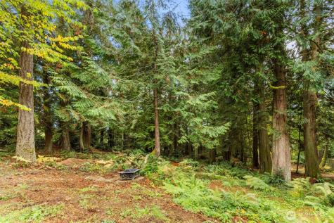 7698 Westerly Lane NE Bainbridge Island WA 98110