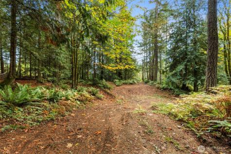 7698 Westerly Lane NE Bainbridge Island WA 98110