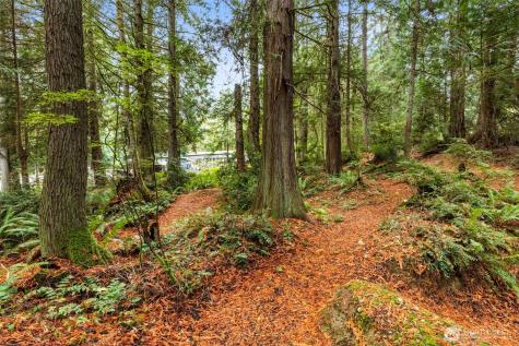 7698 Westerly Lane NE Bainbridge Island WA 98110