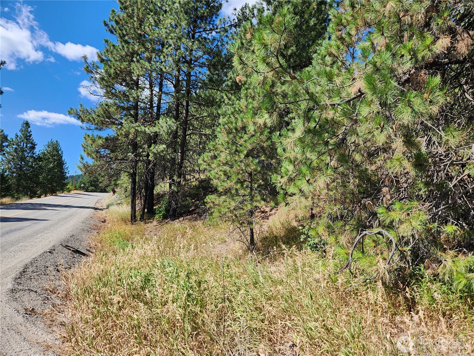0 Klondike Road Republic WA 99166